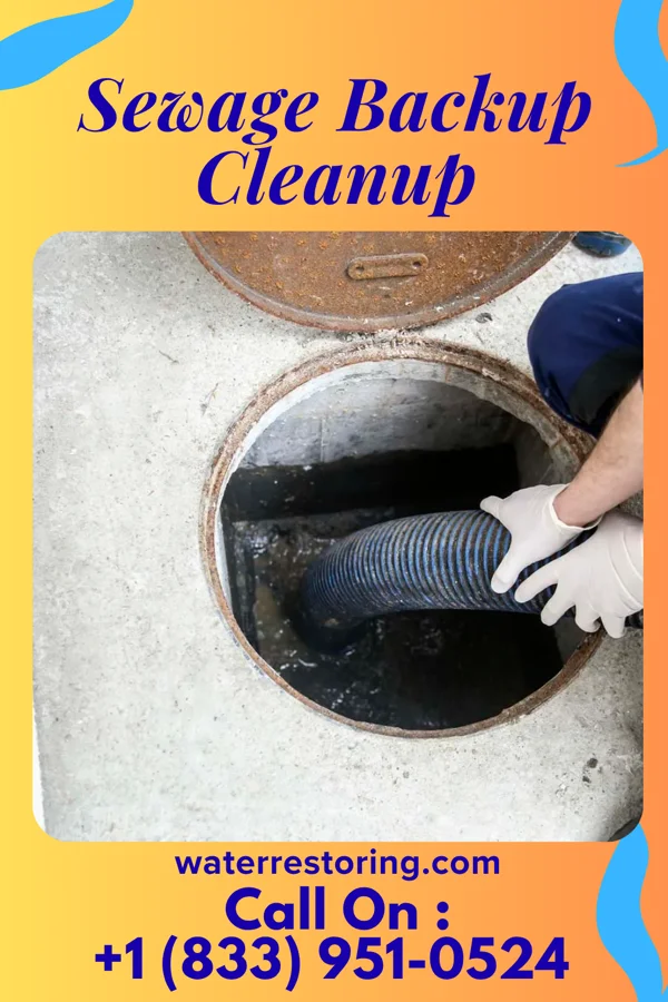 Sewage Backup Cleanup in Monmouth Beach, NJ