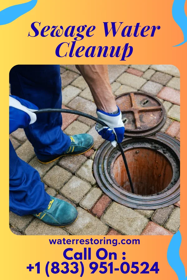 Sewage Water Cleanup in Monmouth Beach, NJ